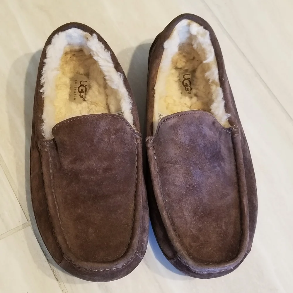 Unisex UGG Ascot Slippers Brown - Picture 2 of 6